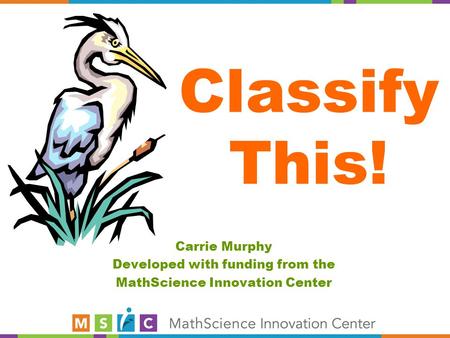 Classify This! Carrie Murphy Developed with funding from the MathScience Innovation Center.