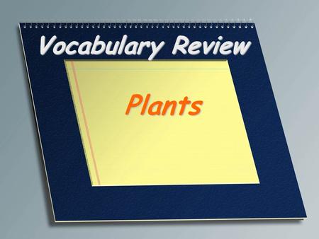 Vocabulary Review Plants. Plant cell with thin walls responsible for metabolic reactions including photosynthesis Parenchyma.