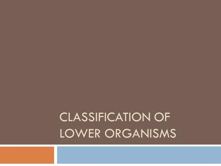 CLASSIFICATION OF LOWER ORGANISMS. Remember:  There are 6 Kingdoms for all organisms  Animalia, Plantae, Fungi, Protista, Eubacteria, Archaebacteria.