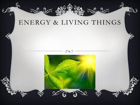 ENERGY & LIVING THINGS. PRODUCERS  A producer is an autotrophic organism that serves as a source of energy for other organisms in a food chain. Producers.