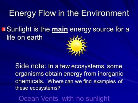 Energy Flow in the Environment