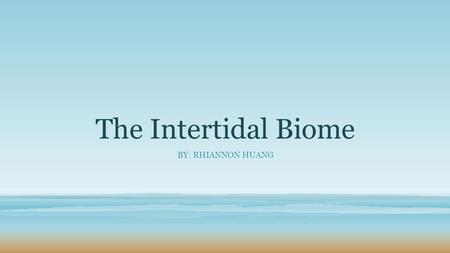 The Intertidal Biome BY: RHIANNON HUANG. The Intertidal Biome The intertidal biome is also known as the coastline biome. It is where land and sea meet.