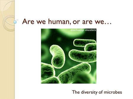 Are we human, or are we… The diversity of microbes.