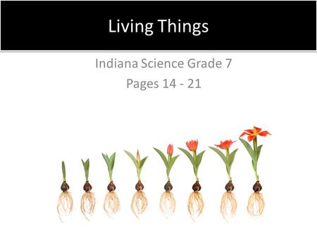 Indiana Science Grade 7 Pages