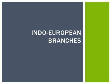Indo-European Branches