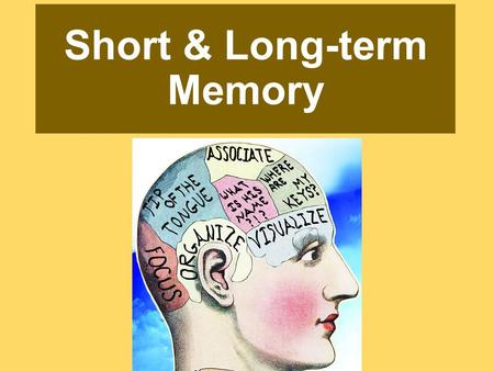 Short & Long-term Memory. Making Memory - Review Three things have to happen: 1.Get information into our brain through encoding. 2.Retain that information.