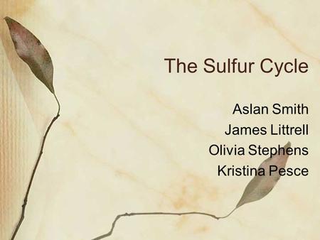 The Sulfur Cycle Aslan Smith James Littrell Olivia Stephens Kristina Pesce.