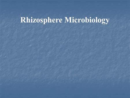 Rhizosphere Microbiology