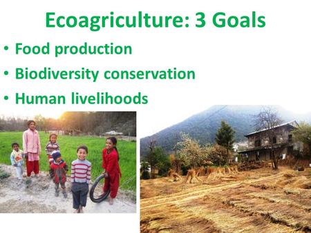 Ecoagriculture: 3 Goals Food production Biodiversity conservation Human livelihoods.