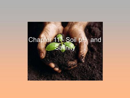 Chapter 11 - Soil pH and Salinity