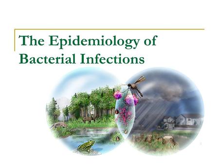 The Epidemiology of Bacterial Infections. 2 Epidemiology ‘The study of factors affecting the health and illness of populations’ The study of: - the occurrence.