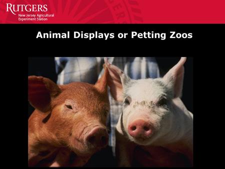 Animal Displays or Petting Zoos. Guidelines for Animal Contact Areas Instruct the public to wash their hands BEFORE and AFTER petting or feeding the animals.