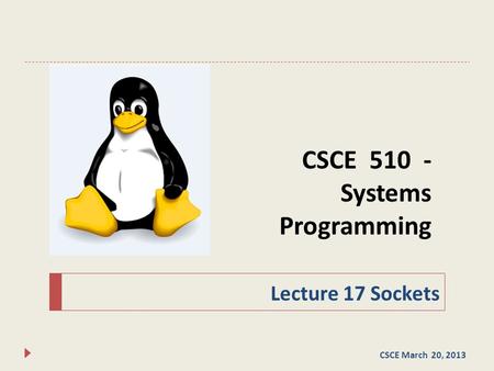 CSCE 510 - Systems Programming Lecture 17 Sockets CSCE March 20, 2013.