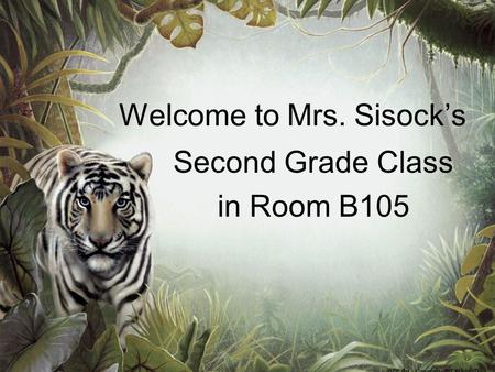 Welcome to Mrs. Sisock’s Second Grade Class in Room B105.