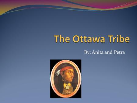 By: Anita and Petra Food The Ottawa tribe ate moose, rabbit, beaver and wolverine. They used spears and bows for hunting. Sometimes, they would dress.