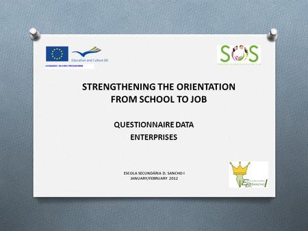 STRENGTHENING THE ORIENTATION FROM SCHOOL TO JOB QUESTIONNAIRE DATA ENTERPRISES ESCOLA SECUNDÁRIA D. SANCHO I JANUARY/FEBRUARY 2012.