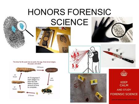 HONORS FORENSIC SCIENCE