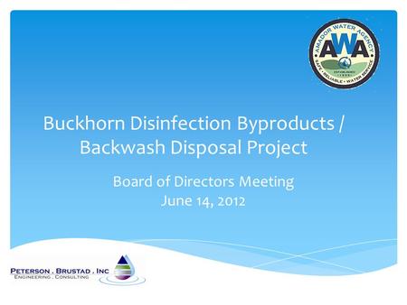 Buckhorn Disinfection Byproducts / Backwash Disposal Project Board of Directors Meeting June 14, 2012.