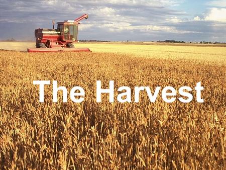 Photo Album by Gene Smith The Harvest. Matthew 9:35-38 Jesus went through all the towns and villages, teaching in their synagogues, preaching the good.