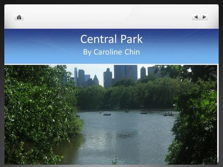 Central Park By Caroline Chin. Central Park covers more than 800 acres and is located in the middle of Manhattan.