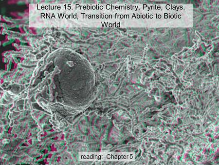 Lecture 15. Prebiotic Chemistry, Pyrite, Clays, RNA World, Transition from Abiotic to Biotic World reading: Chapter 5.