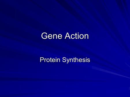 Gene Action Protein Synthesis.