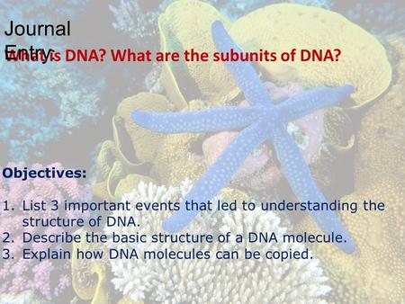 Journal Entry: What is DNA? What are the subunits of DNA? Objectives: