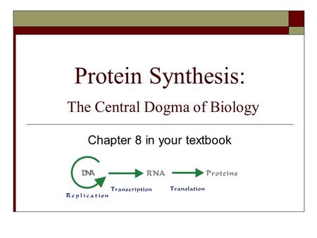 Protein Synthesis: The Central Dogma of Biology Chapter 8 in your textbook.