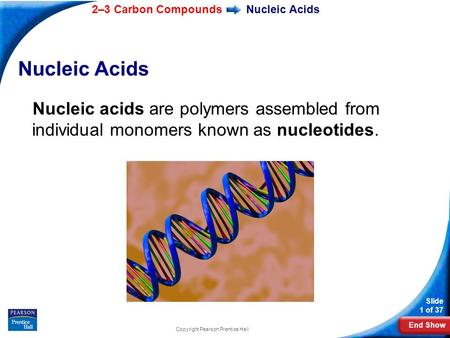End Show 2–3 Carbon Compounds Slide 1 of 37 Copyright Pearson Prentice Hall Nucleic Acids Nucleic acids are polymers assembled from individual monomers.