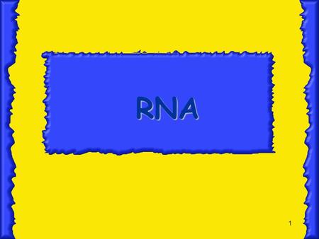 RNA.