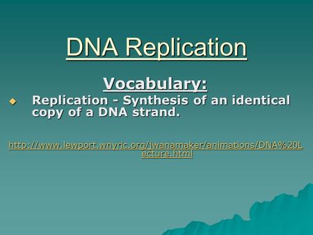 DNA Replication Vocabulary:  Replication - Synthesis of an identical copy of a DNA strand.