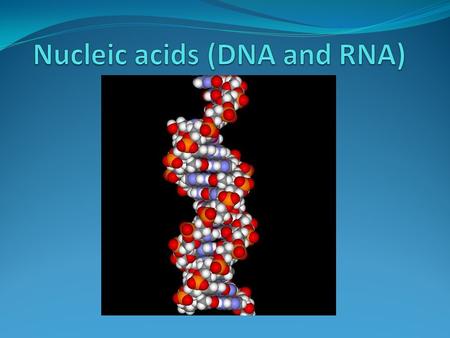 Introduction Nucleic acids are macromolecules made up of smaller nucleotide subunits. They carry genetic information, form specific structures in a cell.