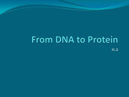 11.2. Remember…. Nucleic Acid – one of the BIG FOUR DNA – Deoxyribonucleic Acid Directions for building proteins Nucleotides are building blocks Sugar-
