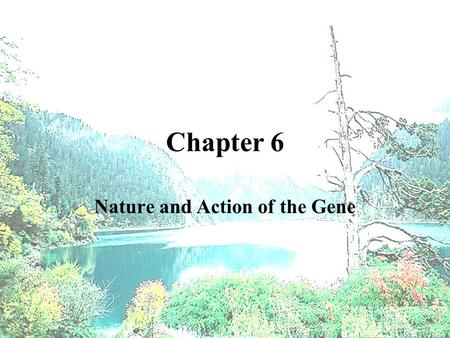 Nature and Action of the Gene