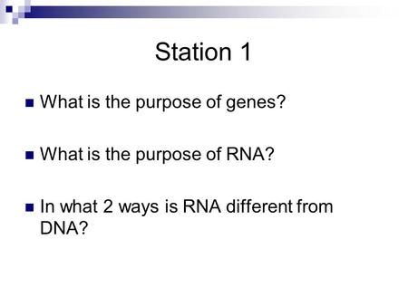 Station 1 What is the purpose of genes? What is the purpose of RNA? In what 2 ways is RNA different from DNA?