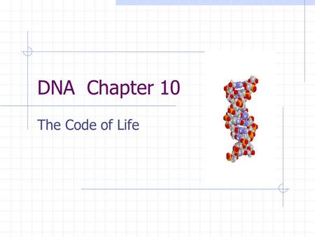 DNA Chapter 10 The Code of Life. History Griffith Hershey and Chase Chargaff Linus Pauling Maurice Wilkins Rosalind Franklin Francis Crick James Watson.