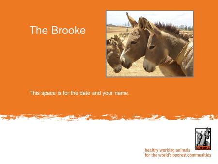 This space is for the date and your name. The Brooke.