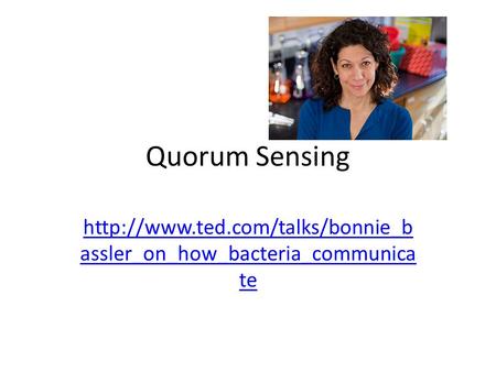 Quorum Sensing http://www.ted.com/talks/bonnie_bassler_on_how_bacteria_communicate This whole field has been created by Dr. Bonnie Bassler. She happened.