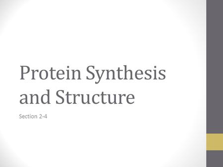 Protein Synthesis and Structure Section 2-4. Protein Functions: General Information Proteins account for almost 50% of the dry mass of most cells Proteins.