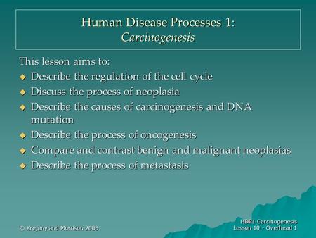 © Krejany and Morrison 2003 HDP1 Carcinogenesis Lesson 10 - Overhead 1 Human Disease Processes 1: Carcinogenesis This lesson aims to:  Describe the regulation.