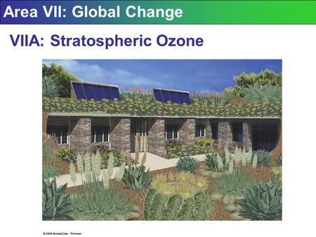 Area VII: Global Change VIIA: Stratospheric Ozone.
