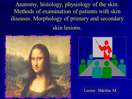 Anatomy, histology, physiology of the skin