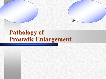 Pathology of Prostatic Enlargement
