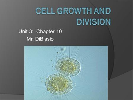 Unit 3: Chapter 10 Mr. DiBiasio. Question?  When a living thing grows, what happens to its cell? Does an animal get larger because each cell increases.