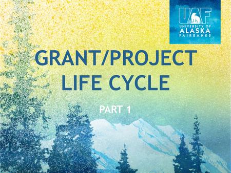 GRANT/PROJECT LIFE CYCLE PART 1. GRANT/PROJECT LIFE CYCLE OVERVIEW.
