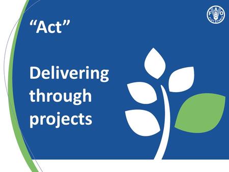 “Act” Delivering through projects. Effective Country Programme = Effective Projects What is important for effective delivery of FAO’s projects?