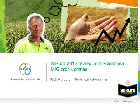 Sakura 2013 review and Sclerotinia MIG crop updates Rick Horbury – Technical Advisor north.