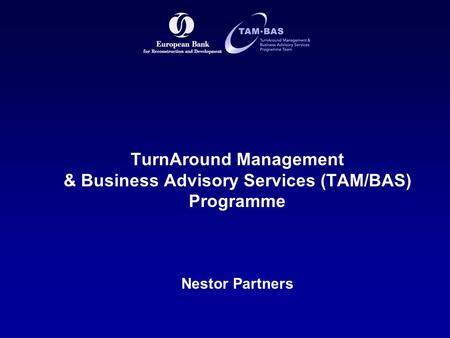 TurnAround Management & Business Advisory Services (TAM/BAS) Programme Nestor Partners.