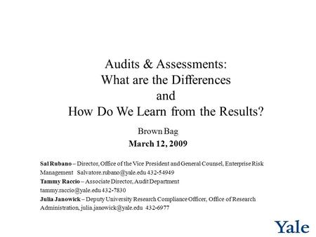 Audits & Assessments: What are the Differences and How Do We Learn from the Results? Brown Bag March 12, 2009 Sal Rubano – Director, Office of the Vice.