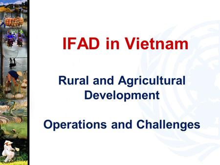 IFAD in Vietnam Rural and Agricultural Development Operations and Challenges.